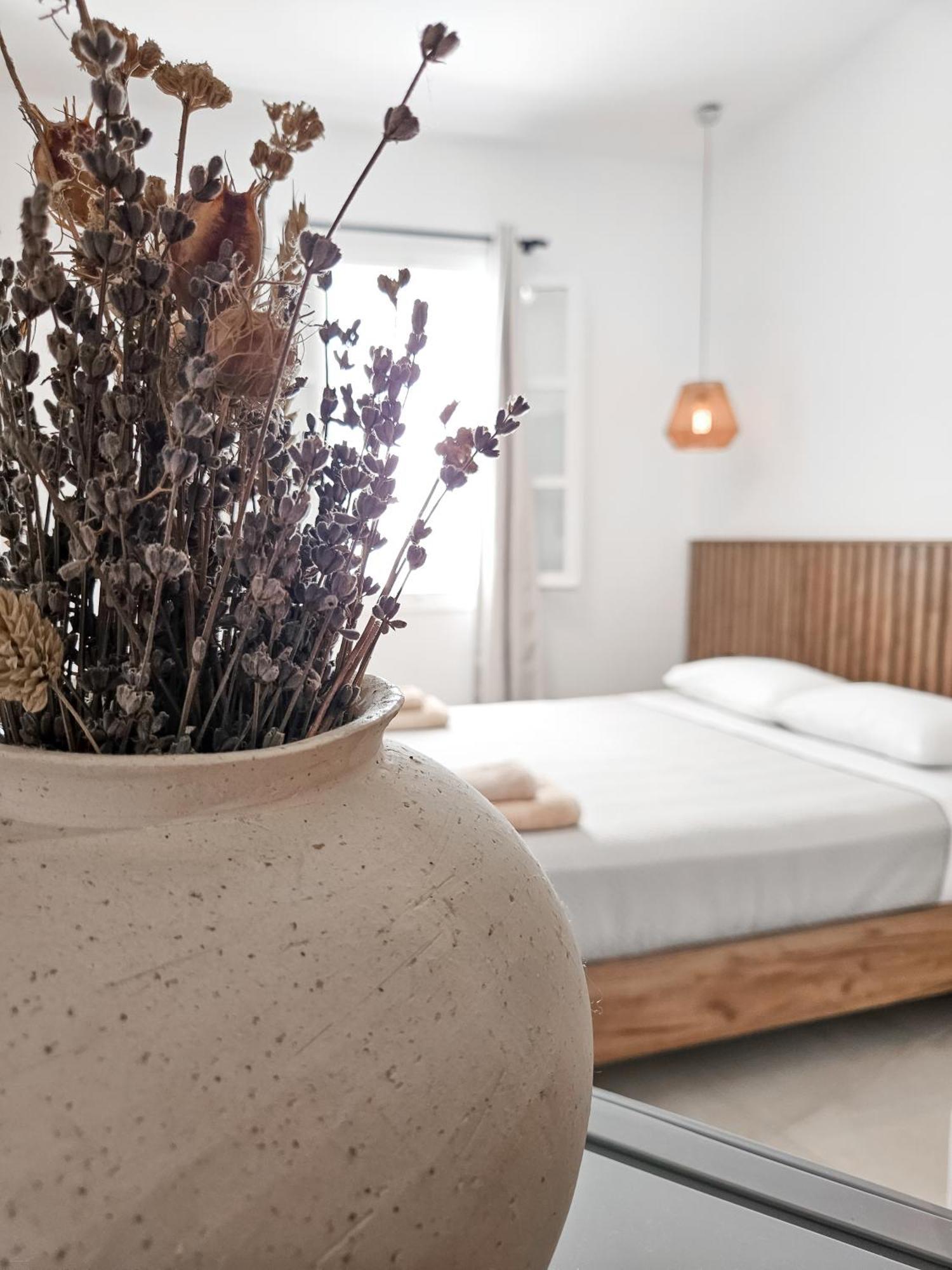 Oikia Suites Mykonos Mykonos Town Eksteriør bilde